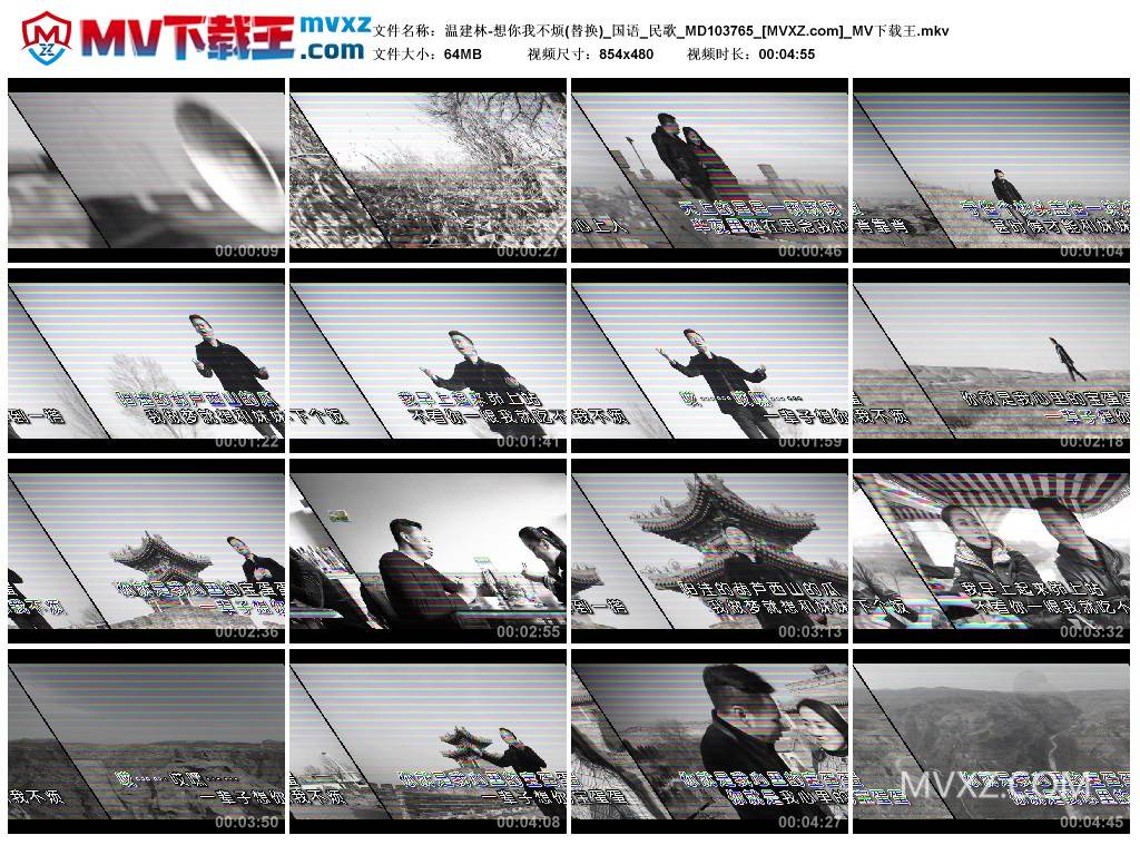 温建林-想你我不烦(替换)_国语_民歌_MD103765